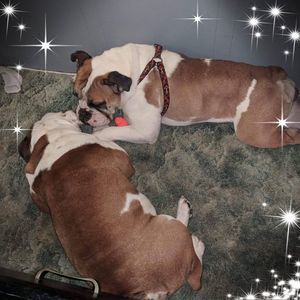 Meet your Posher, Amber